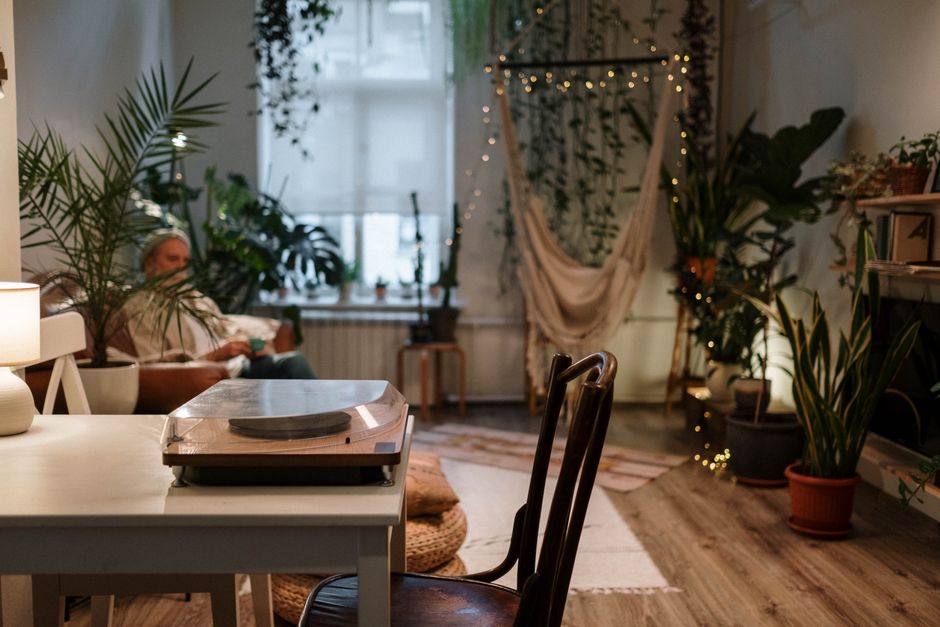 Gezonde vetplant in moderne woonkamer.